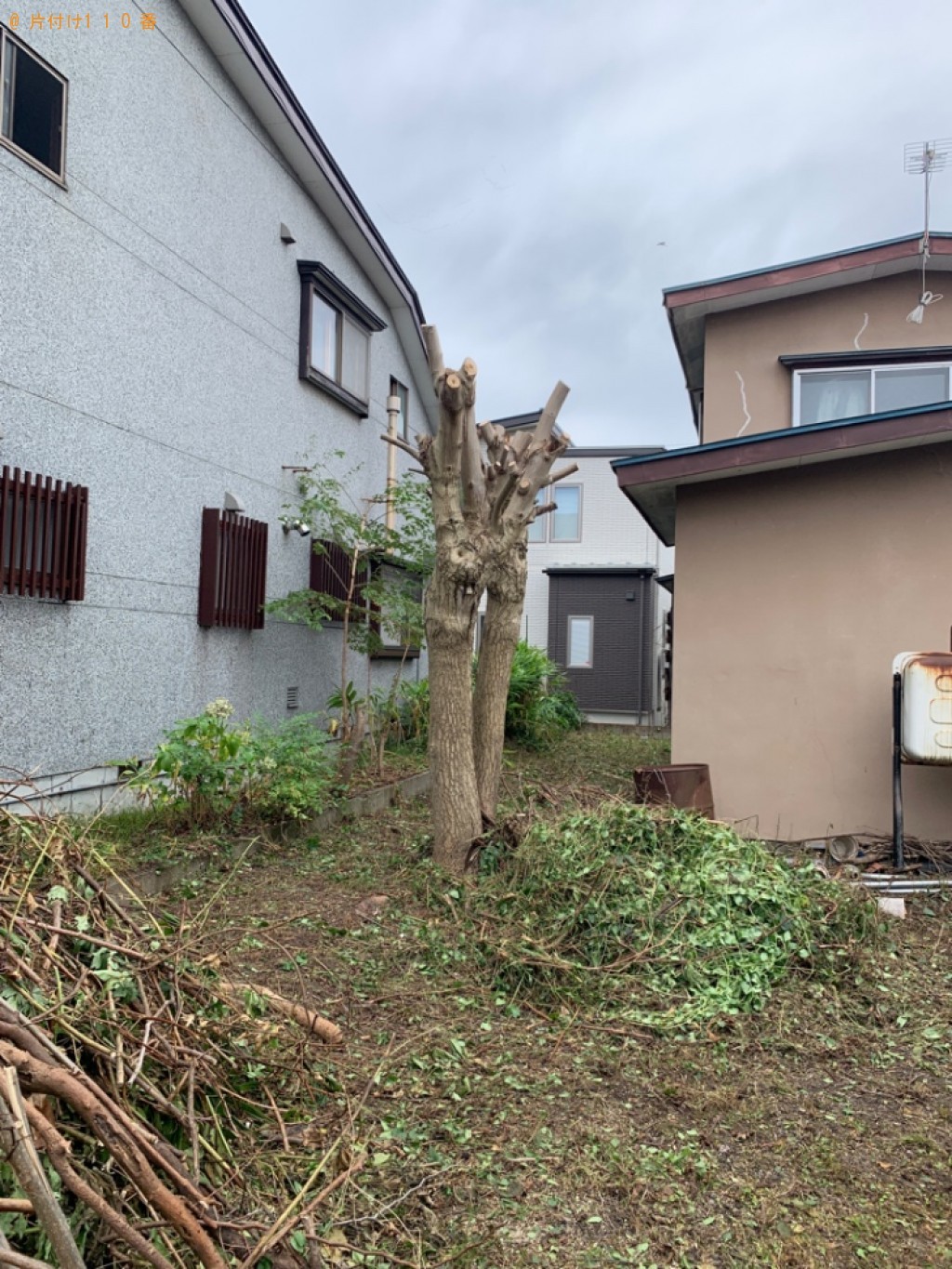 木の伐採作業ご依頼　お客様の声